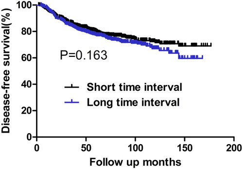 Figure 2 DFS for the whole group stratified by time interval. No significant difference was found in DFS between patients with short and long time intervals (P=0.163).