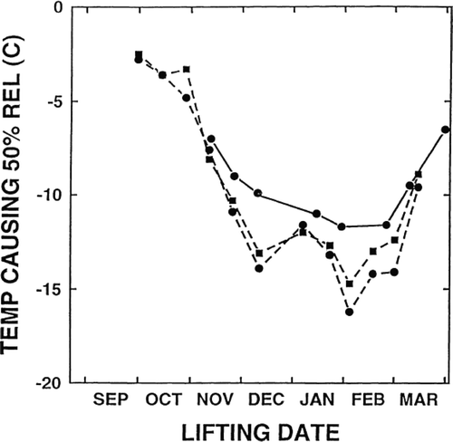 Figure 5. Time course of temperature causing 50% electrolyte leakage of fine roots of Japanese larch (Larix leptolepis (Sieb. and Zucc.) Gord.) (•) and hybrid larch (Larix × eurolepis Henry) (▪) in 1990 – 91 (―) and 1991 – 92 (‐‐‐). (Adapted with permission from McKay & Morgan, Citation2001. © 2001 Elsevier).