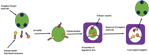 Figure 1. Molecular polymer imprinting mechanism.