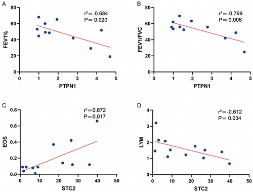 Figure 9 Correlation analysis between PTPN1 and STC2 and pulmonary function indicators (EOS and LYM).