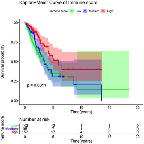 Figure 3 Kaplan‐Meier curves showed the associations of immune scores groups with overall survival (OS) of patients with LUAD. Comparison of OS among patients with ≤698.1 immune scores (low group), patients with immune scores between 698.1 and 1246.3 (medium group), and patients with>1246.3 immune scores (high group).