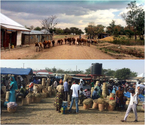 The village centers of the rural (top) and semi-urban (bottom) communities.