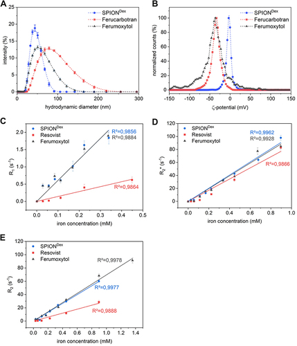 Figure 1 Comparison of physicochemical properties of the particles. (A) Intensity-weighted hydrodynamic size distribution. (B) -potential distribution at pH 7.4. 3 T MRI derived T1 (C), T2 (D) and T2* (E) relaxation rates as a function of iron concentration. The relaxivity r is derived from the slope of the corresponding linear fit.