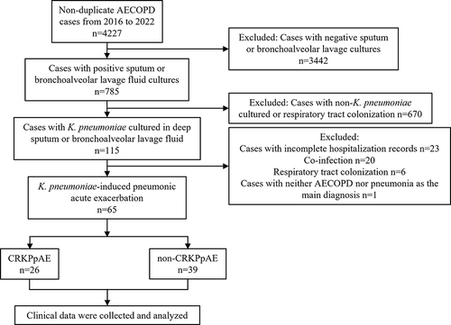 Figure 1 Flow chart of the study population.