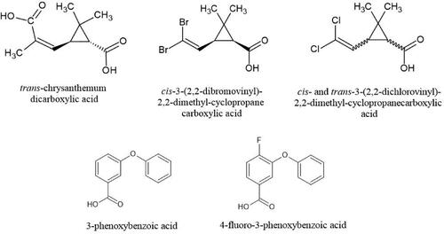Figure 2. Six pyrethroid metabolites commonly used in biological monitoring studies as analytes of interest for detection in saliva.