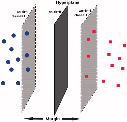 Figure 1. The schematic hyperplane of SVM separating positive class (+1) and negative class (−1) with the maximum margin.