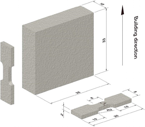 Figure 1. Schematic representation of the tensile test sample geometry (all dimensions are in mm). Both direction tensile specimens have the same dimensions.