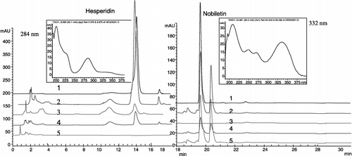 Figure 3 HPLC profiles of citrus extracts at dual wavelength: 284 nm and 332 nm. 332 nm profiles followed 284 nm profiles continuing from 18.0 min. 1: hesperidin and nobiletin mixed standard solution, 2: dried citrus peel, 3: FGRE, 4: ECPE, 5: PCPE; The 2 insets are DAD UV scan of hesperidin and nobiletin peak (190 ∼ 400 nm).