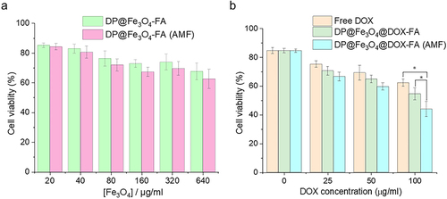 Figure 6 Statistical chart of cytotoxicity experiments. (a) Toxicity analysis of DP@Fe3O4-FA without DOX loading to tumor cells (b) Tumor cell killing research using free DOX and DP@Fe3O4@DOX-FA with or without the AMF. *p < 0.05. Graphs were created using OriginPro 2019b software.