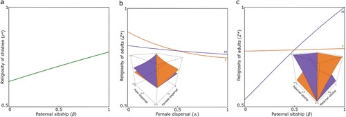 Figure 1. Kin selection favors religiosity. (a) In children, a higher degree of relatedness among maternal siblings (owing to greater probability of having the same father, β) favors a greater level of religiosity. (b) In adults, women (orange) favor a higher degree of religiosity due to higher within-group relatedness for women in scenarios with male-biased dispersal (dM > dF), and men (purple) favor a higher degree of religiosity due to higher within-group relatedness for men in scenarios with female-biased dispersal (dF > dM). (c) Women (orange) favor a higher degree of religiosity in scenarios with higher female reproductive variance (α > β), and men (purple) favor a higher degree of religiosity in scenarios with higher male reproductive variance (β > α).