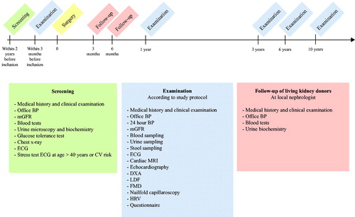 Figure 3. CENS study timeline. Abbreviations: BP: blood pressure; mGFR: measured glomerular filtration rate; ECG: electrocardiogram; CV: cardiovascular; MRI: magnetic resonance imaging; DXA: dual-energy X-ray absorptiometry; LDF: laser Doppler flowmetry; FMD: flow mediated dilatation; HRV: heart rate variability.