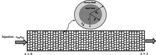 Figure 1. Schematic diagrams of a fixed-bed column packed with inert-core adsorbents.