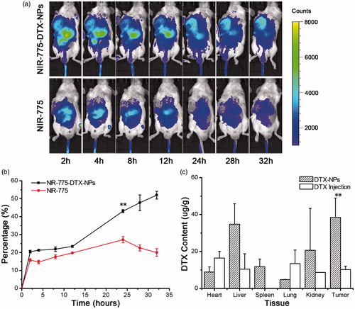Figure 8. In vivo biodistribution of DTX-NPs. (a) In vivo NIRF imaging after mice receiving NIR-775-DTX-NPs and free NIR-775. (b) The quantitation of NIRF imaging in tumor. (c) In vivo tissue distribution at 24 h after injection of DTX-NPs and DTX injection. Each data point is represented as mean ± SD (n = 3) (**p < 0.01).