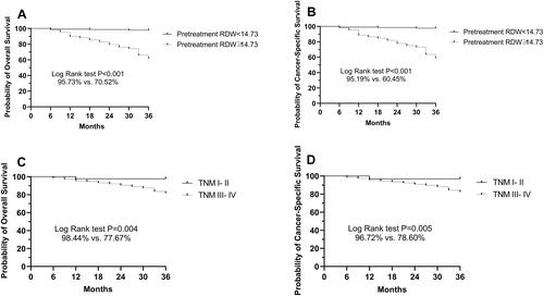 Figure 3 Kaplan-Meier overall survival (OS) and cancer specific survival (CSS) curves stratified by the mean value in terms of pre-treatment red cell distribution width (RDW), and TNM stage. (A) OS curves stratified based on RDW category. (B) CSS curves stratified based on RDW category. (C) OS curves stratified based on TNM category. (D) CSS curves stratified based on TNM category.