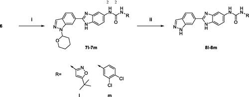 Scheme 2. Synthesis of 1–(2-(1H-indazol-6-yl)-1H-benzo[d]imidazol-5-yl)-3-phenylurea derivatives. (i) (1) 4-Nitrophenyl chloroformate, DIPEA, THF, 0 °C; (2) RNH2, THF, 50 °C; (ii) 20% TFA, CH2Cl2.