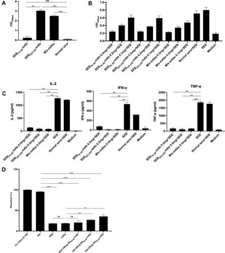 Figure 5 Epitope-specific monoclonal antibodies inhibited the biological functions of Hla and SEB in vitro. (A) ELISA result of the binding ability of SEB78-95-mAb or SEB222-239-mAb to wild-type SEB. The data in the figure represent the mean ± SD (n = 5 per group). (B) CCK-8 assay result of the effects of SEB78-95-mAb, SEB222-239-mAb, and mix-mAb on the SEB-mediated proliferation of mononuclear leukocytes. The data in the figure represent the mean ± SD (n =5 per group). (C) IFN-γ, IL-2, and TNF-α production assay. Mouse mononuclear leukocytes were isolated and cultured in the presence of indicated concentrations of SEB78-95-mAb, SEB222-239-mAb, or mix-mAbs with wild-type SEB. After 24 h of culture, supernatants were obtained and used to determine IFN-γ, IL-2, and TNF-α secretion by ELISA. (D) Hemolytic activity assay, 0.625μg/mL Hla was incubated with 5, 2.5, and 1.25 mg/mL Hla48-56-mAb at 37°C for 30 min. Hla and 1% Triton X-100 were used as positive controls, while PBS and mHla were used as negative controls. The wells were treated with 100 μL of 4% rabbit erythrocyte suspension and incubated at 37°C for 60 min. The supernatant was isolated by centrifugation and the hemolytic activity was determined from the release of hemoglobin, which was spectrophotometrically measured at 540 nm (n = 3 per group). The results are presented as percentage hemolysis of the positive control (Triton X-100). The data in the figure represent the mean ± SD. Experiments were conducted in triplicates. **p < 0.01, ***p < 0.001, ****p<0.0001.