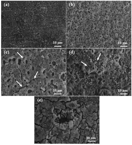 Figure 2. Surface morphologies of the PEO coatings prepared in different electrolytes at a magnification of 1000X: (a) An, (b) Ap, (c) As, (d) Ab and (e) Af.