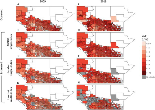 Figure 7. Spatial distribution of observed yield and estimated yield of barley using different satellite index predictors for 2009 and 2019. Landsat-NDWI is the best performing single-index. Best performing multi-index combination using Landsat data for wheat is EVI + SR + GI. Regions in white represent absence of cropland within a given municipality. Regions in grey represent municipalities for which an model-specific yield estimate is unavailable.