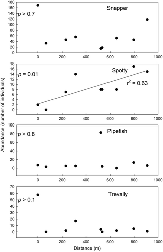 Figure 5 Abundance of four fish species by distance from the site closest to the harbour mouth. No error bars are displayed because each point represents total abundance (pooled across both high and low habitat availability treatments). Significance test results for linear regressions reported for all species, but regression lines and r2 values only presented where regressions were significant.