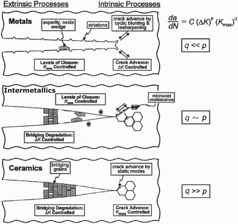 Figure 4. Mechanisms for FCG in intermetallics, compared with those present in metals and ceramics. Extrinsic toughening in intermetallics may be achieved by grains bridging cracks, such as bridging lamellae in lamellar γ-TiAl alloys. In ceramics and intermetallic composites, crack bridging may additionally involve strong and stiff fibres, or elongated metallic grains that undergo ductile rupture [Citation16]. Ahead of the crack in γ-TiAl intermetallics, crack growth may occur by cleavage fracture along fatigue cycled slip planes and by coalescence of microcracks ahead of the crack tip; static fracture modes also occur. Microcrack/microvoid toughening occurs in the proximity of cracks. Adapted from [Citation16] (reproduced with permission).