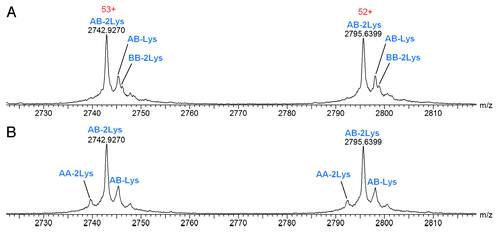 Figure 6. Raw mass spectra for Hetero-AB containing low levels of spiked homodimer standards, zoomed to show two charge states. (A) Hetero-AB containing 30% Homo-B standard. (B) Hetero-AB containing 9% Homo-A standard.