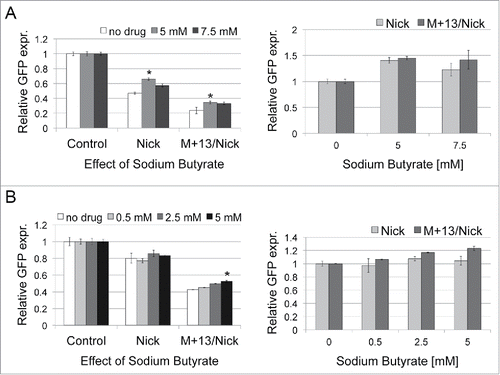 Figure 3. Effects of sodium butyrate on DNA repair of nicks- and nicks+mismatch-containing plasmids in HeLa (A) and HCT116 cells (B). Cells were first exposed to different concentrations of sodium butyrate and 6 h later were transfected with undamaged plasmid (Control), nicks-containing plasmid (Nick) and the plasmid with a mismatch placed 13nt away on the 3′ side of the nick (M+13/Nick). 24 h after transfection the positive EGFP population was analyzed by flow cytometry. The presented data are the mean of 3 independent experiments; error bars indicate SD. The star (*) indicates P < 0.05 using a Student's t-test and represent a statistically significant difference. P values were compared with the culture without inhibitor.