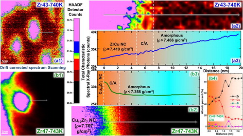 Figure 4. (a1, a2, b1, b2) Colored STEM images and (a3, b3) the change of total characteristic spectral X-ray photon counts along the linear scanning direction of Zr43-740 K and Zr47-743 K samples. (b4) The relative atomic percentage change in the transition region from the nano-crystal Cu10Zr7 to the amorphous phase in the Zr47-743 K sample.