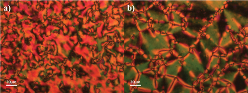 Figure 9. (Colour online) Polarised optical microscope textures observed for 12-2-2: (a) schlieren texture of the N phase in untreated glass slides (T = 108°C) and (b) banded texture of the NF phase in a cell treated for planar alignment (T = 102°C).