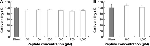 Figure 2 The cytotoxic effects of Rq on the cell viability of HeLa.Note: The cell viability after incubation with different concentrations of Rq for 3 hours (A) and with 100 or 1,000 μM Rq for 24 hours (B).Abbreviation: Rq, RRRRQWWQW.