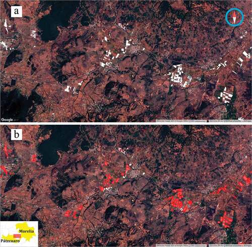 Figure 2. Plasticulture in the region between Patzcuaro and Morelia cities, as shown in the bottom left box, both panels display the composite one-year Sentinel-2 image. (a) Bare composite image, the bright white pixels are the plastic films of PA infrastructures. (b) highlighted in red are shown the areas that were detected as PA by our classifier (these vectors are not the ones made by visual interpretation)