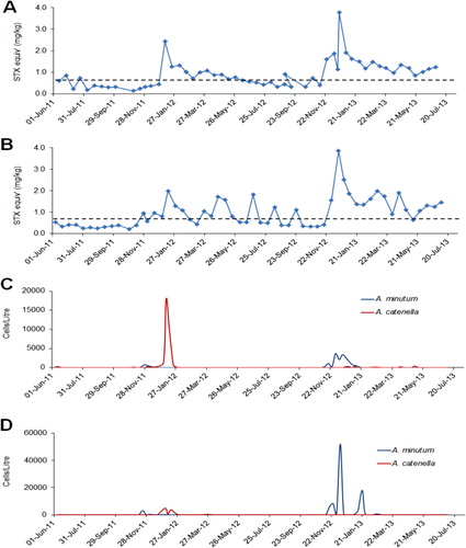 Figure 6 PST levels (A and B: AssureQuality HPLC screen) in tuatua (Paphies subtriangulata) from Bay of Plenty beaches and cell abundance (C and D) of A. catenella and A. minutum at Bay of Plenty phytoplankton monitoring sites, June 2011–June 2013. Tuatua sampling sites: Pukehina Beach (A) and Papamoa Beach (B). Phytoplankton monitoring sites: Tauranga Harbour (C) and Bowentown Wharf (D).