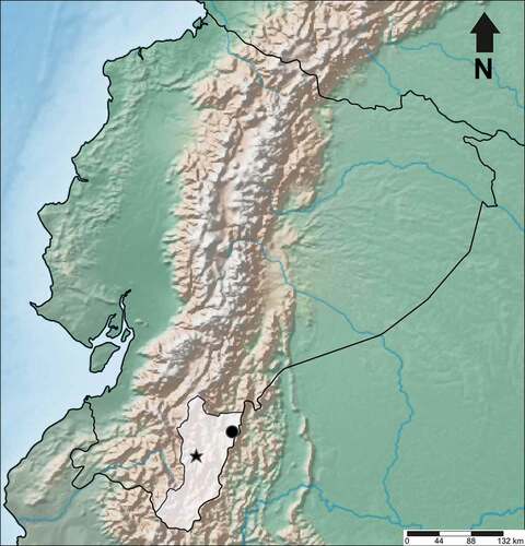 Figure 3. Distribution map of Myrcia machinazana in the Zamora-Chinchipe province, south Ecuador. The star represents the location of Zamora city