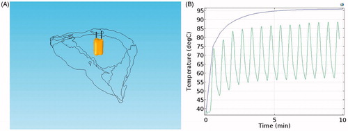 Figure 9. Ablation results under switching mode, (A) Isosurface of 50 °C, (B) temperature on the tip of one electrode.