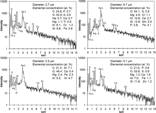 Figure 5. Typical EDX spectra and atomic concentrations of particles with detectable but minor elements such as C, P, and heavy metals.