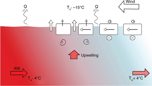 Fig. 2 Schematic of air-ice-sea interactions north of Svalbard. Northerly winds transport sea ice from the Arctic Ocean (slightly deflected to the right) and bring cold air masses, facilitating larger ice cover. Upwelling of warm Atlantic Water (AW, reddish) melts the approaching sea ice, and a fresh, cold layer forms below the ice (bluish). Depending on the vertical mixing below the ice, the freshwater layer reduces further ice melt. The large ocean-to-atmosphere heat flux, Q, is strongly reduced by the presence of sea ice. In winter, Q is the sum of net longwave radiation, latent heat and sensible heat. Excess heat is lost to space through longwave radiation. Ta: air temperature, and Tw: water temperature.