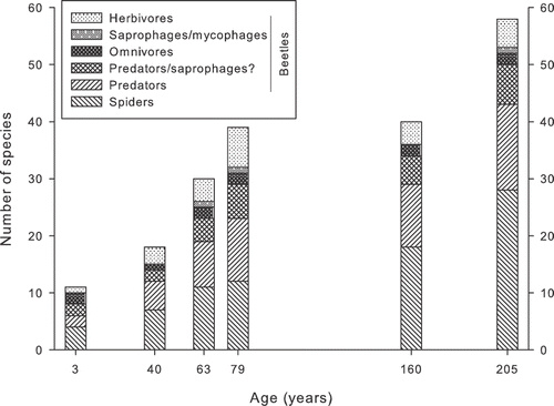 Figure 4 Distribution of feeding categories among spiders and beetles which were pitfall-trapped at different ages in the Midtdalsbreen foreland. Because spiders are predators, this feeding category dominated throughout the gradient.