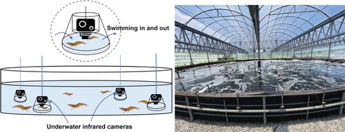Figure 1. Experimental environment. (a) Sketch of the pond. (b) The actual pond.