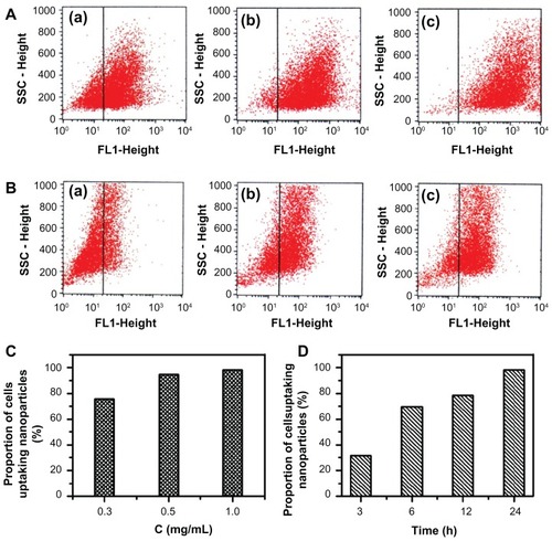 Figure 8 Cellular uptake efficiency in response to FITC/DA-Chit nanoparticles by flow cytometry analysis. (A) hRPE cells incubated with FITC/DA-Chit nanoparticles for 24 hours at concentrations of (a) 0.3 mg/mL, (b) 0.5 mg/mL, and (c) 1.0 mg/mL. (B) hRPE cells incubated with FITC/DA-Chit nanoparticles at 1.0 mg/mL for (a) 3 hours, (b) 6 hours, and (c) 12 hours. (C) Proportions of hRPE cells taking up FITC/DA-Chit versus nanoparticle concentrations. (D) Proportions of hRPE cells taking up FITC/DA-Chit nanoparticles versus incubation time.Abbreviations: hRPE, human retinal pigment epithelial; FITC/DA-Chit, fluorescein isothiocyanate-labeled deoxycholic acid-modified chitosan; SSC, side scatter.