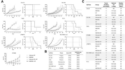 Figure 4 NBTXR3 activated by radiotherapy controls tumor growth more effectively than radiotherapy alone. (A) The ability of NBTXR3 to control tumor growth better than radiotherapy as well as the impact on survival was tested in nude mice bearing a tumor of CAL-33, FaDu, LPS80T3, HT1080 (left column), DU-145, PC-3 and NCI-H460-Luc2 (right column). Number of mice per group: 5–6. Tumor growth curves are expressed as mean relative tumor volume (RTV) ± SEM. (B) Table indicative of the types of cancers tested, the doses of RT used and the source of radiotherapy. (C) Tumor doubling time, optimal T/C and median survival of the in vivo experiment results.