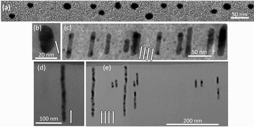 Figure 5. X-TEM images of: Fe nanoparticles before irradiation (a), single NP under irradiation with 50 MeV Ag ions to a fluence of 3 × 1014 ions.cm−2 (b), Fe NPs with the lower density under irradiation to a fluence of 8 × 1014 ions.cm−2 (c), Fe NPs with the higher density under irradiation with fluence of 8 × 1014 ions.cm−2 (d) and (e), respectively.