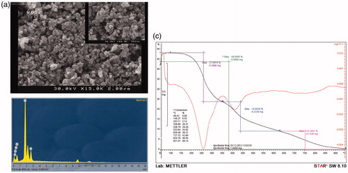 Figure 4. (a) SEM images of P(NIPAAm-MAA-DMAEMAQ)&MSNs&PECGC, (b) selected area EDX analysis for P(NIPAAm-MAA-DMAEMAQ)&MSNs&PECGC, and (c)TGA thermogram of P(NIPAAm-MAA-DMAEMAQ)&MSNs&PECGC nanoparticles.