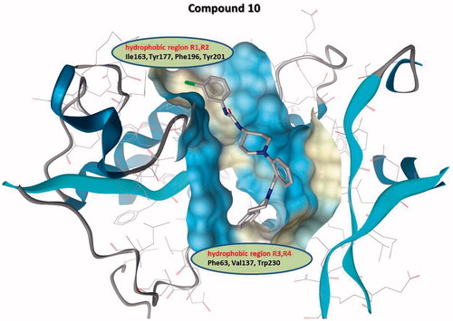 Figure 2. Hydrophilic and hydrophobic regions of AtlE binding surface for modeled compound 10 are depicted in blue and yellow, respectively. Hydrophobic region R1, R2 and R3, R4 represent the area where substituents of (phenylureido)piperidinyl benzamides R1 and R2, and R3, R4 bind, respectively.