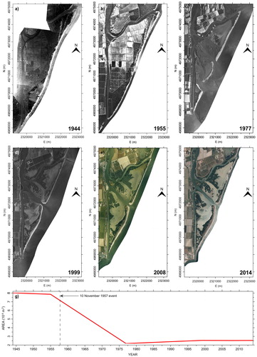 Figure 4. Multi-temporal orthophotos (a: 1944, b: 1955, c: 1977, d: 1999, e: 2008, f: 2014) and trend of emerged surfaces (g) of Bonelli Levante basin (sub-area 3): 10 November 1957 storm was intercepted in the comparison between 1955 and 1977 orthophotos (b), (c): area was reduced in size by about 5.69 Mm2 (g). Source: Author