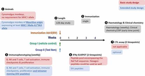 Figure 10. Proposed study design