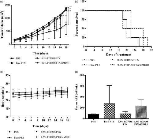 Figure 6. In vivo evaluation of the formulation efficacy in nude athymic mice bearing A2780-ADR resistant human ovarian tumor xenografts. (a) Antitumor efficacy of liposomal and nonencapsulated PTX formulations on nude athymic mice bearing A2780-ADR resistant human ovarian tumor xenografts. After tumors were established, mice were treated every other day (first injection on day 0) with saline (•), PTX solubilized in Cremophor (?), 0.5%PEIPOS/PTX (?) or 0.5%PEIPOS/PTX/siMDR1(?) at 5.5 mg/kg of PTX and 0.8 mg/kg of siMDR1. (n = 4) Each point represents a mean ± S.D., two-way ANOVA with Dunnett’s multiple comparisons. ****p < .0001 (b) The survival curve of tumor-bearing animals. Mice were treated as indicated in (a) throughout the study period. The survival end-point was when tumors reached 1500 mm3. (c) No significant differences were observed in body weight of the animals. (d), Effect of different treatments on liver function evaluated by quantification of alanine aminotransferase (ALT) levels in blood samples collected from the animals before euthanasia. Only a mild increase in ALT levels in animals treated with 0.5% PEIPOS/PTX/siMDR1 was observed, but no statistical difference was identified among the groups.