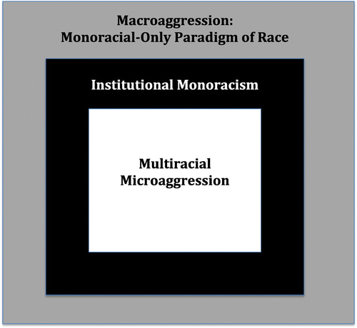 Figure 2. Multiracial microaggressions model adapted from Pérez Huber and Solorzano’s (Citation2015) racial microaggressions model.