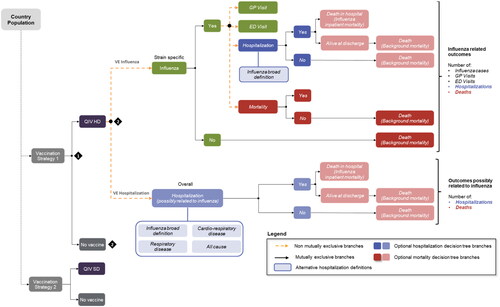 Figure 1. Model structure.