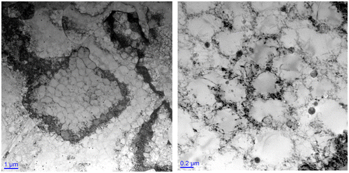 Figure 10. Transmission electron micrographs of dislocation substructures generated in as-built 316L prepared using SLM on an EOS280 using factory-recommended print settings.