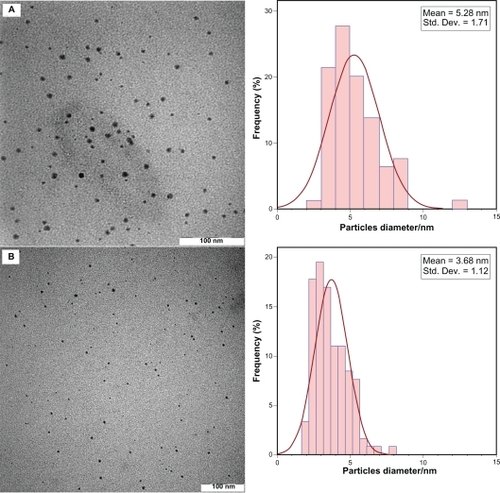 Figure 2 Transmission electron microscopy images and corresponding size distributions of AGG60 (A) and AG60 (B).