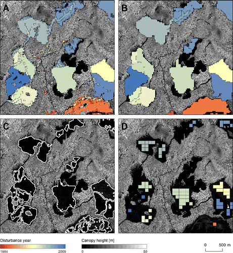 Figure 2 A representative subset of the study areas on which a method of finding sample units (100 × 100 m) in the detected stand-replacing disturbances is demonstrated. A: Disturbance areas (stands) detected with Landsat time series; B: Stands are generalized; C: The borders of the stands are refined using CHM; D: 100 × 100 m sample units are placed inside the stands.